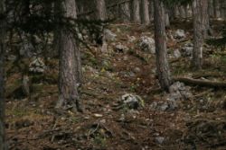 2011-04-24_Regina-F-Rau_Brunnstein-Spitze (039).JPG